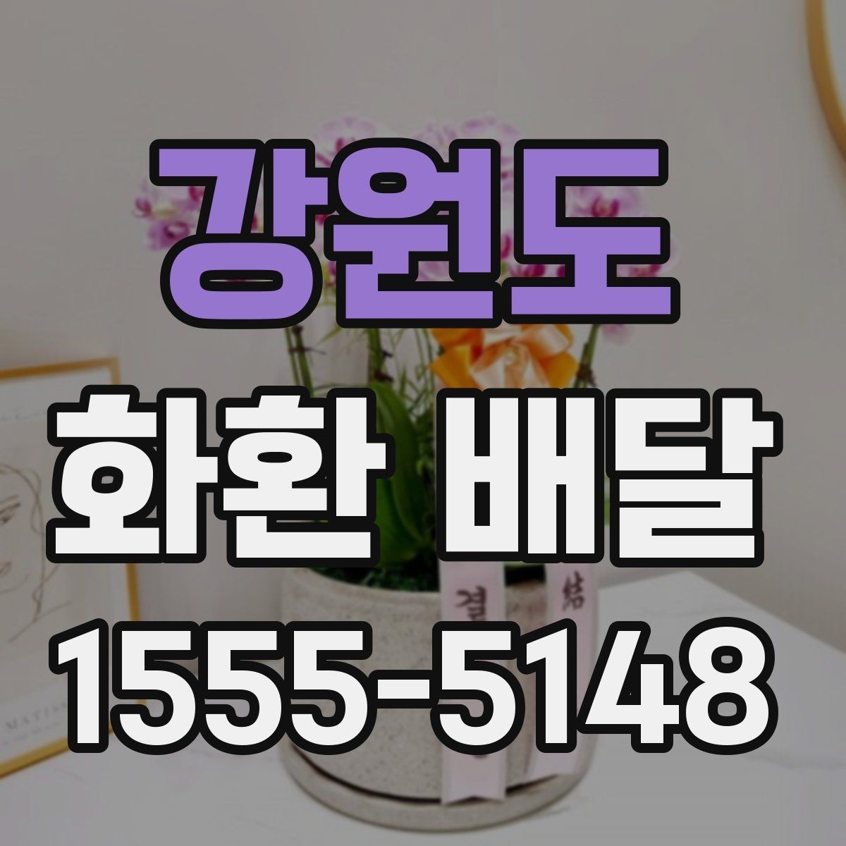 강원도 화환 배달 비용 문의할 때 챙길 항목
