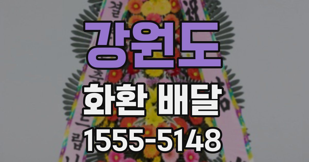 강원도 화환 배달