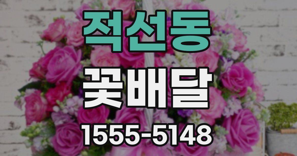적선동 꽃배달