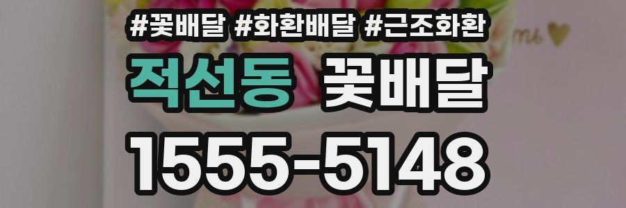 적선동 꽃배달