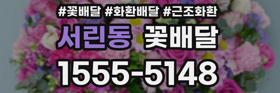 서린동 꽃배달