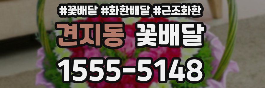 견지동 꽃배달