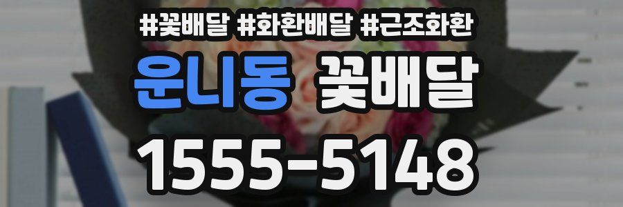 운니동 꽃배달