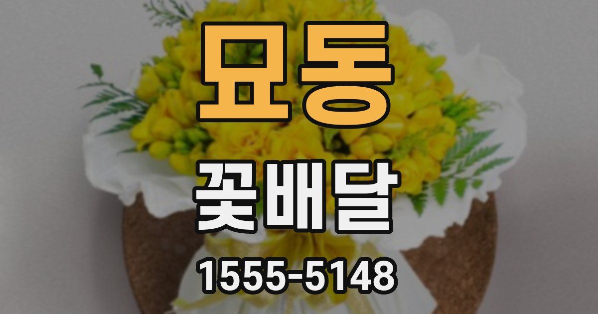 묘동 꽃배달