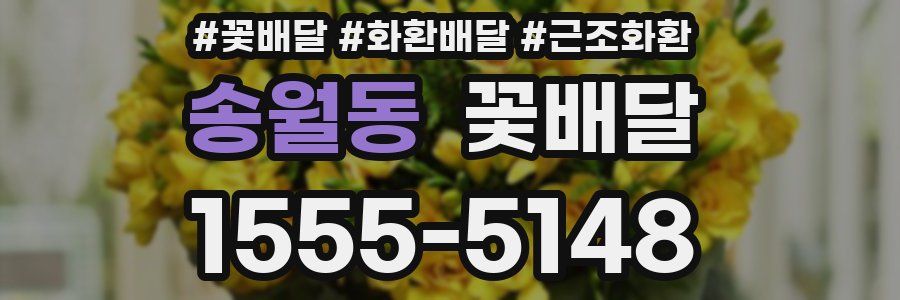 송월동 꽃배달
