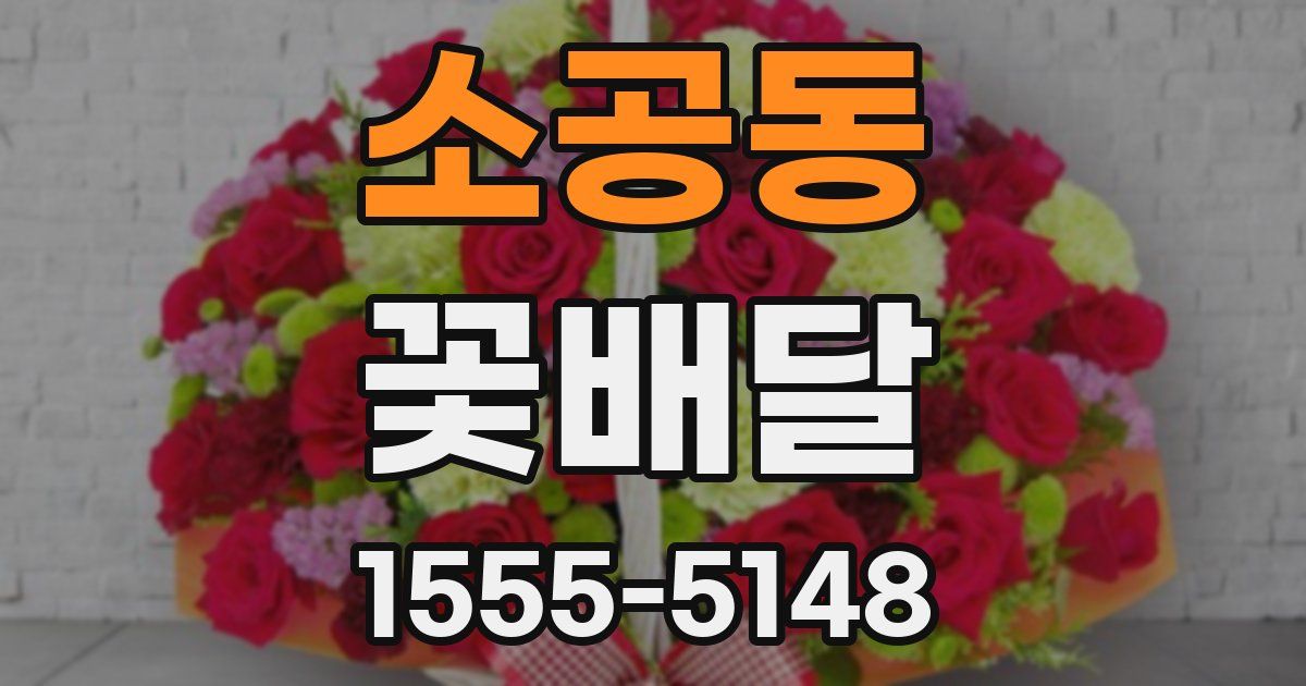 소공동 꽃배달