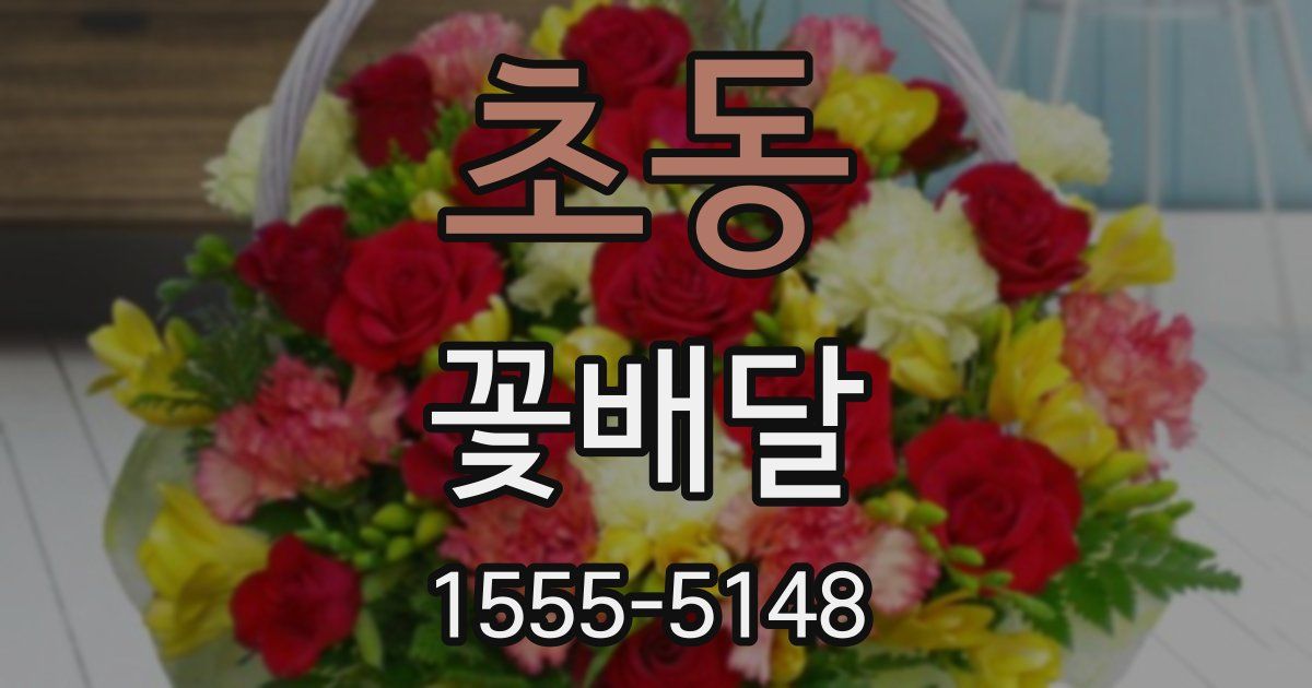 초동 꽃배달