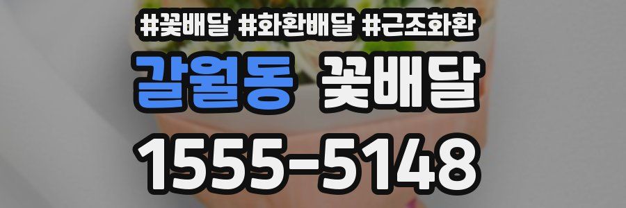 갈월동 꽃배달