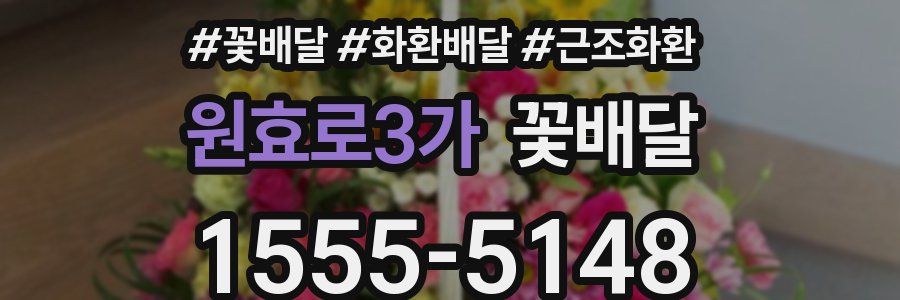 원효로3가 꽃배달