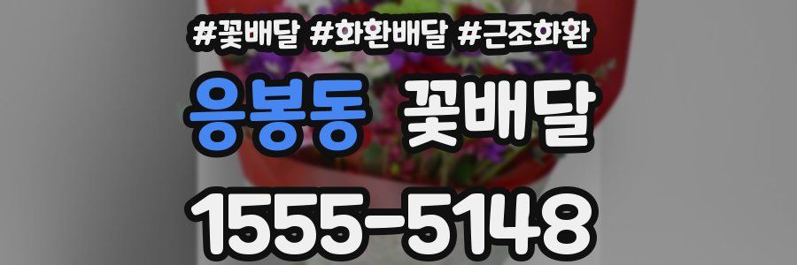 응봉동 꽃배달