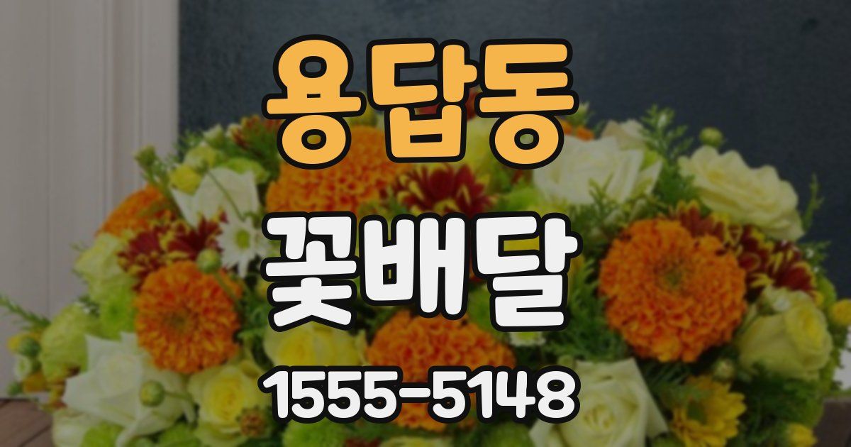 용답동 꽃배달