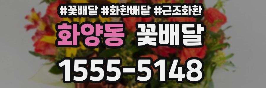 화양동 꽃배달