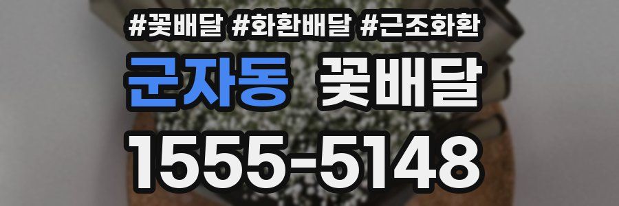 군자동 꽃배달