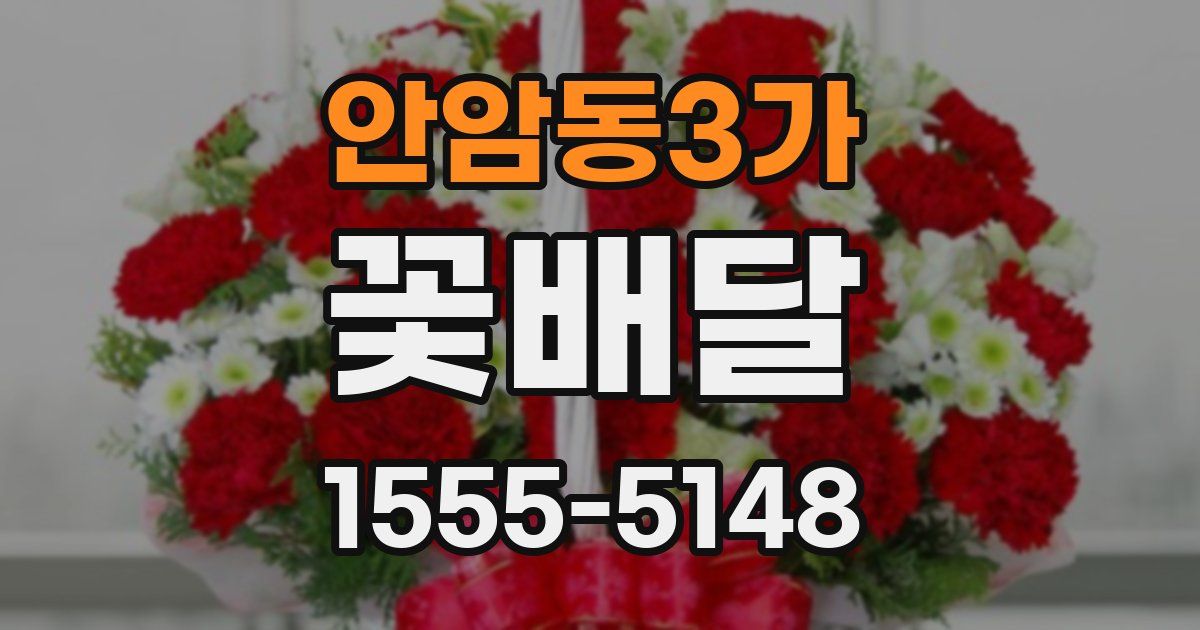 안암동3가 꽃배달