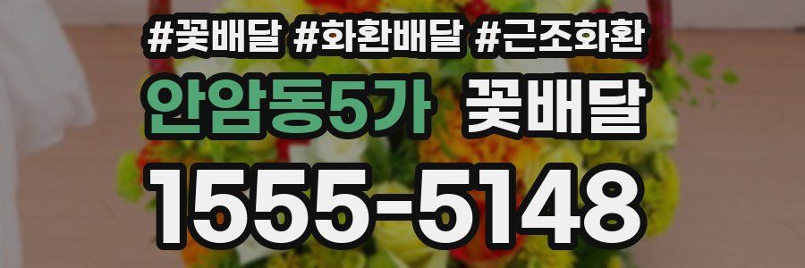 안암동5가 꽃배달