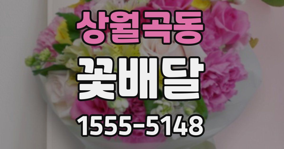 상월곡동 꽃배달