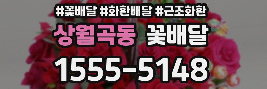 상월곡동 꽃배달