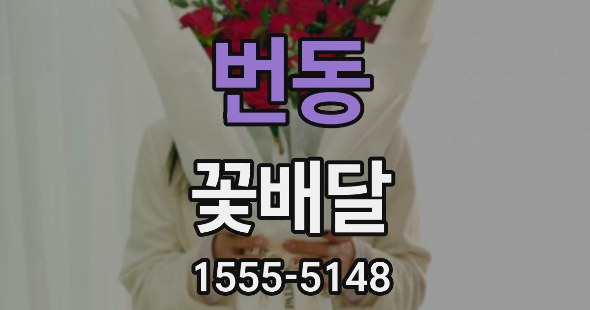 번동 꽃배달