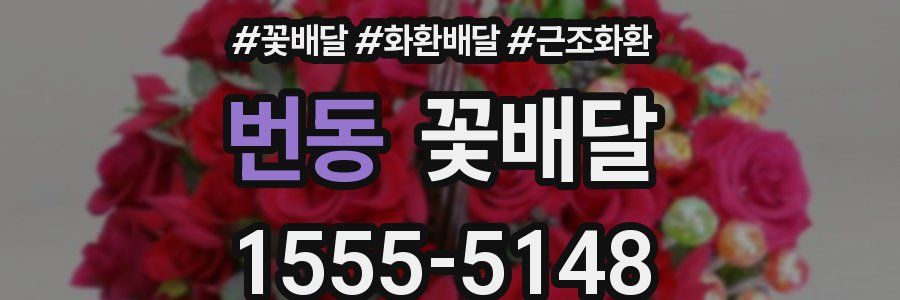 번동 꽃배달