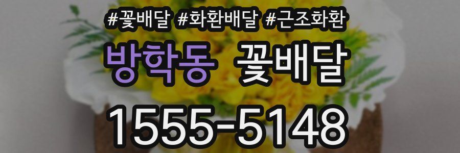 방학동 꽃배달