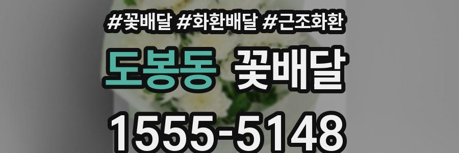 도봉동 꽃배달