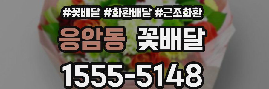응암동 꽃배달