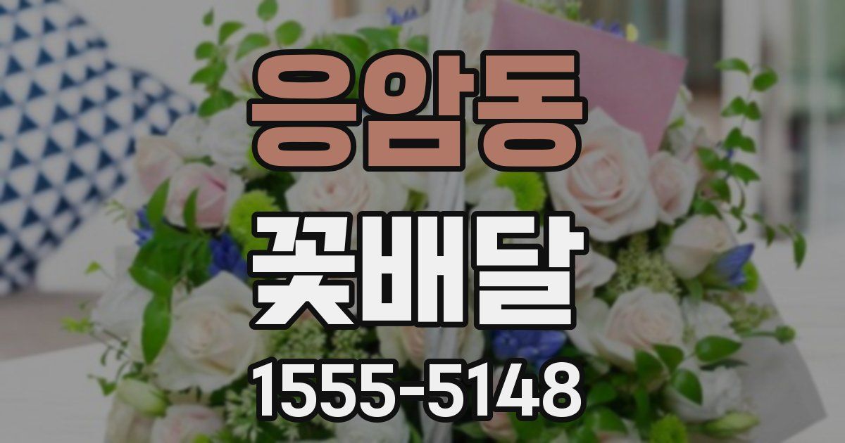 응암동 꽃배달