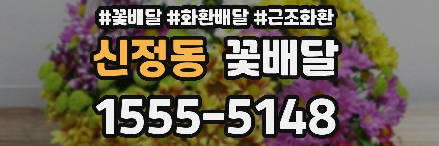 신정동 꽃배달