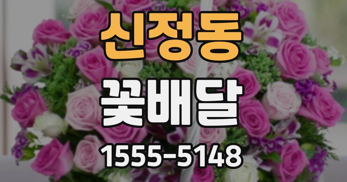 신정동 꽃배달