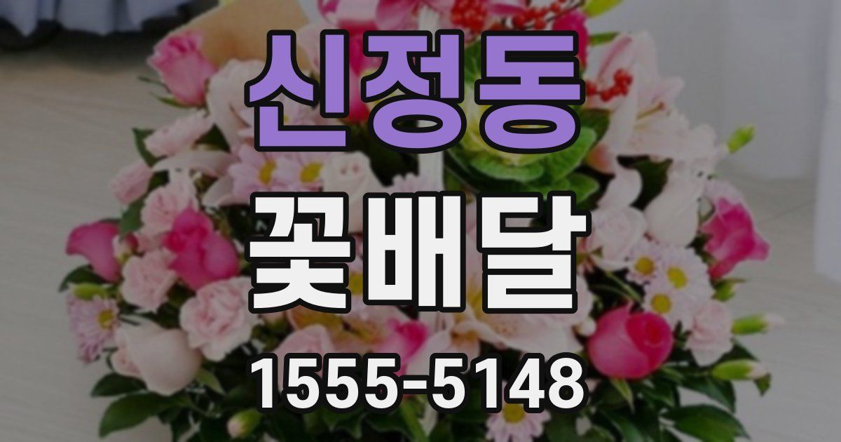 신정동 꽃배달