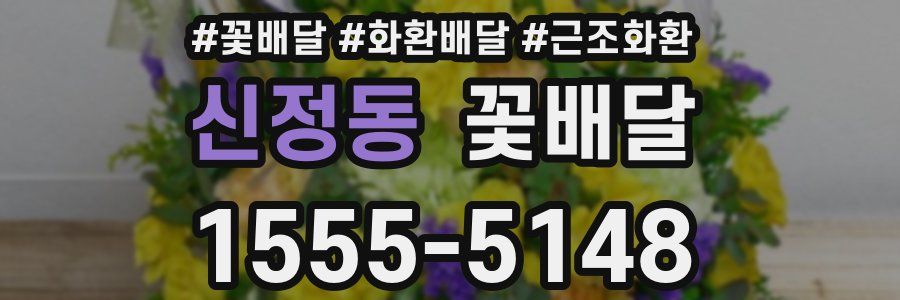 신정동 꽃배달