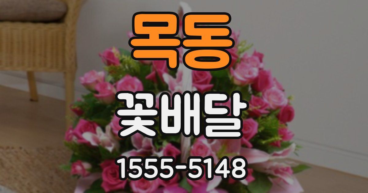 목동 꽃배달