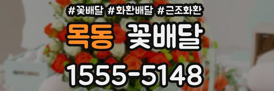 목동 꽃배달