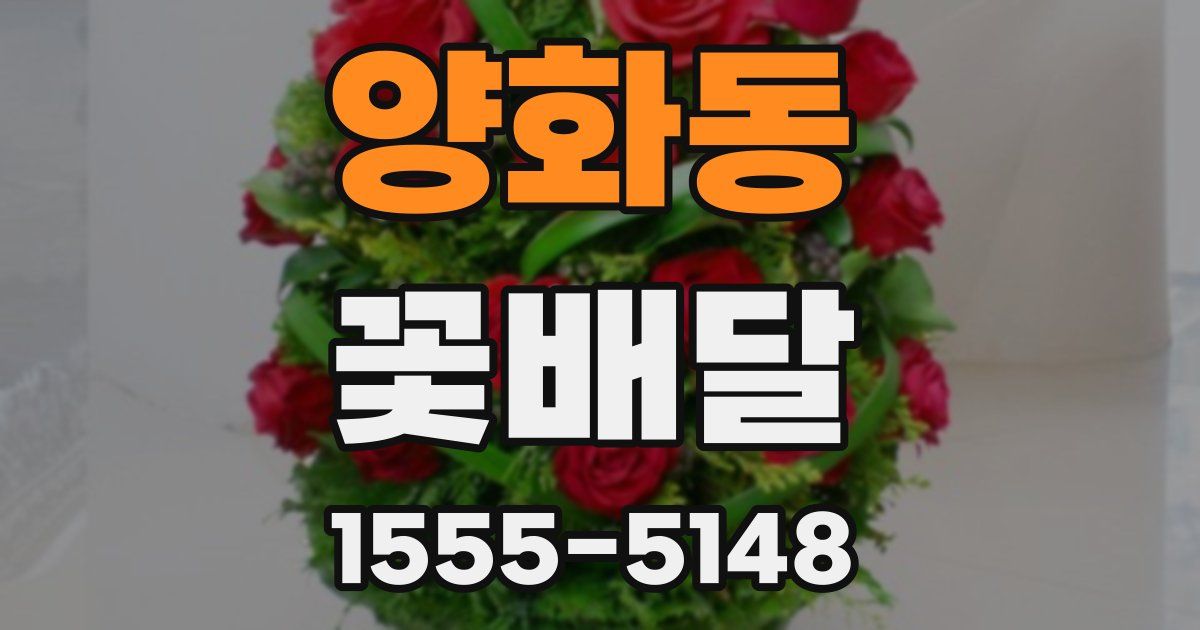 양화동 꽃배달