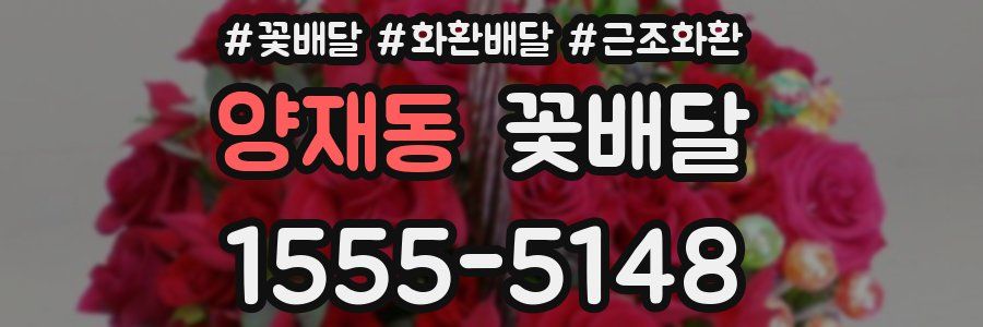 양재동 꽃배달