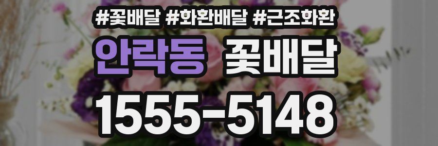 안락동 꽃배달