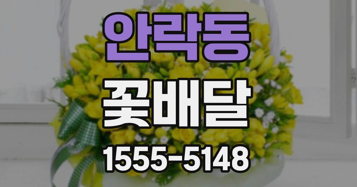 안락동 꽃배달