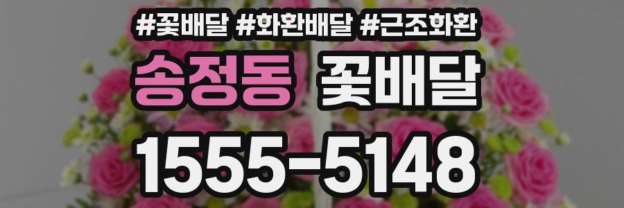 송정동 꽃배달