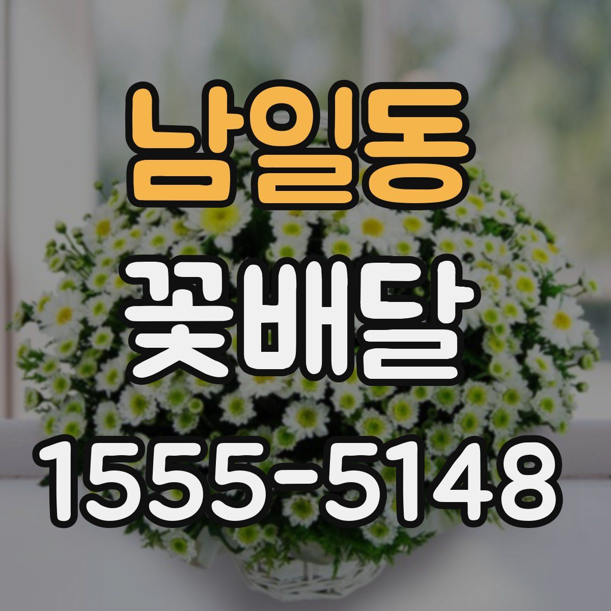 남일동 꽃배달