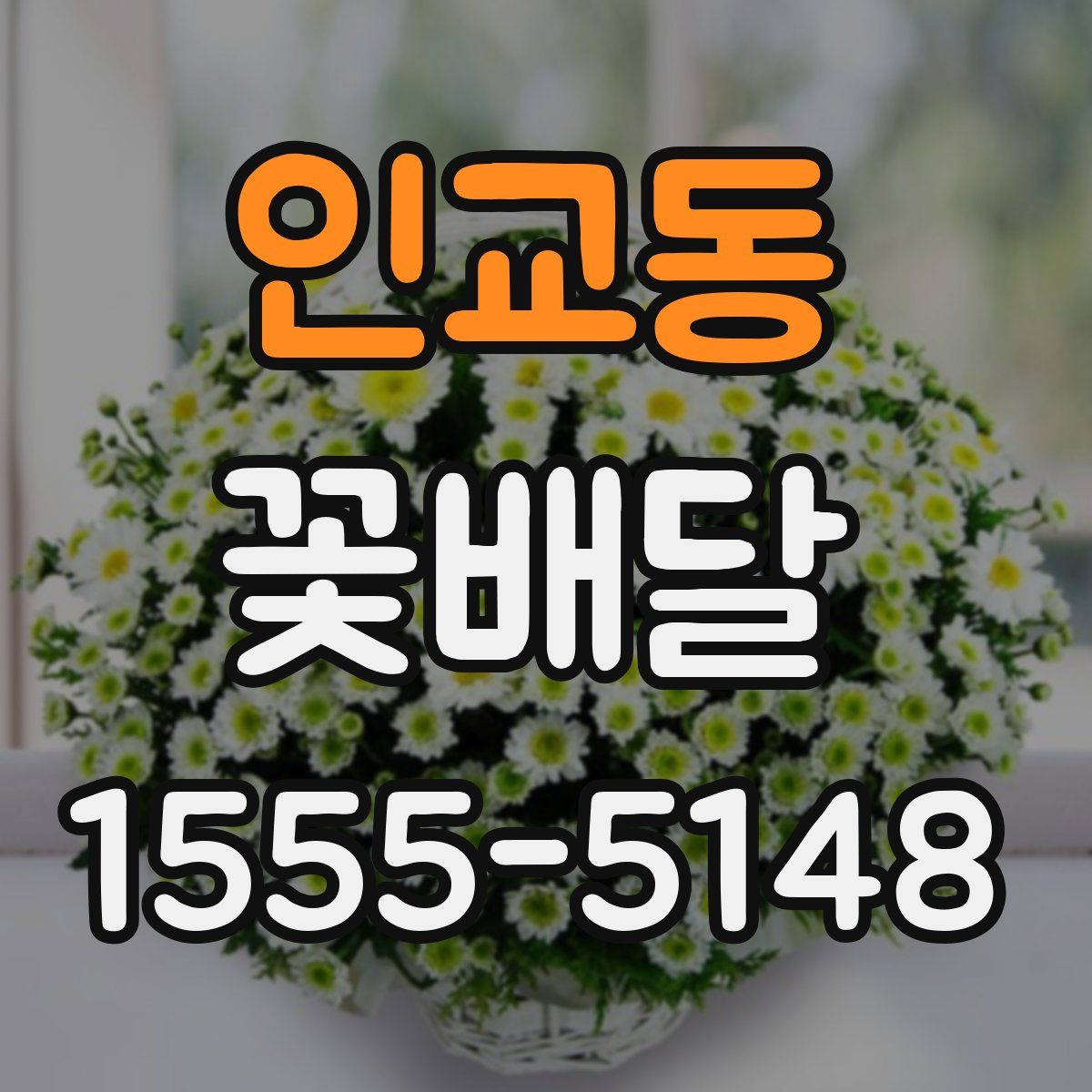 인교동 꽃배달
