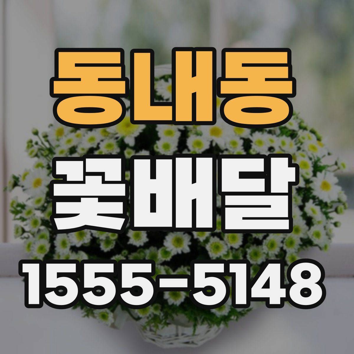 동내동 꽃배달