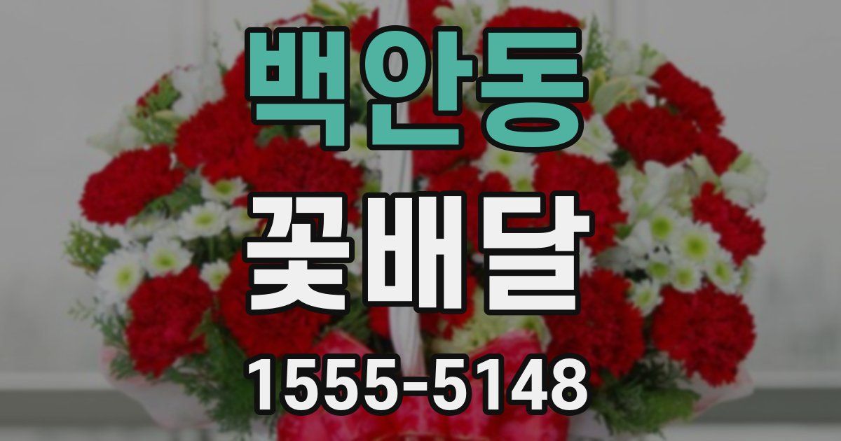 백안동 꽃배달