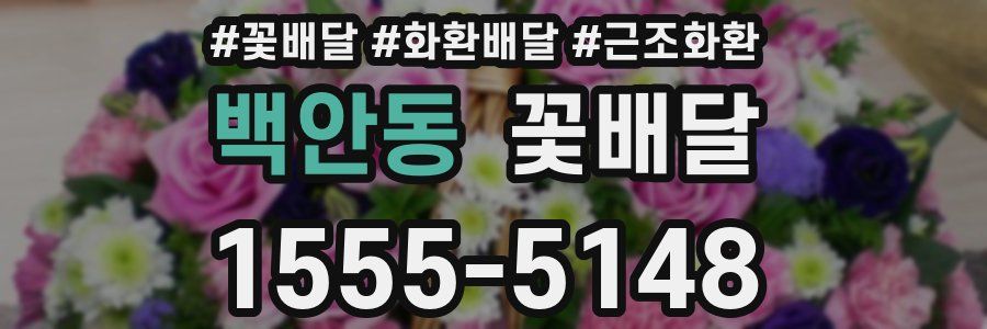 백안동 꽃배달