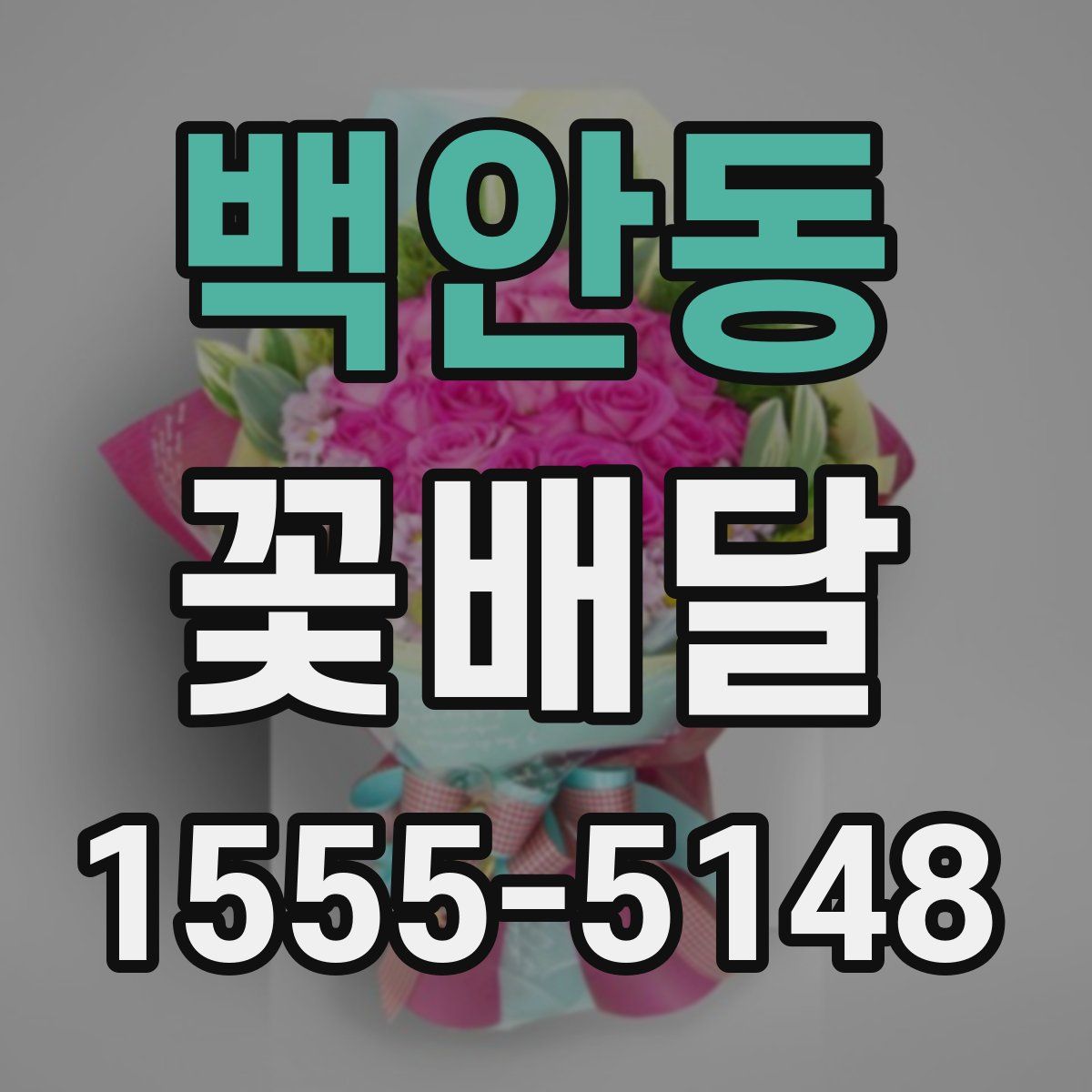 백안동 꽃배달