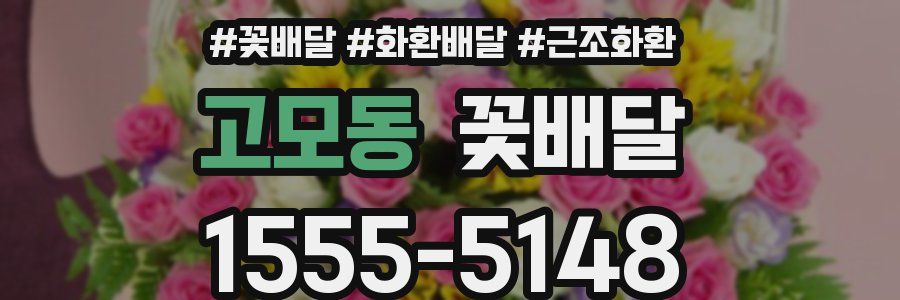 고모동 꽃배달