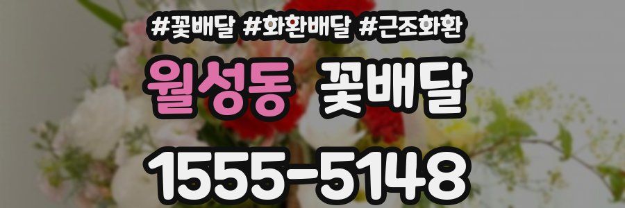 월성동 꽃배달
