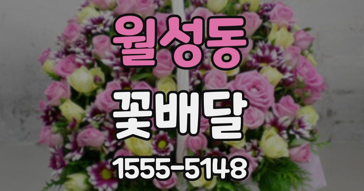 월성동 꽃배달
