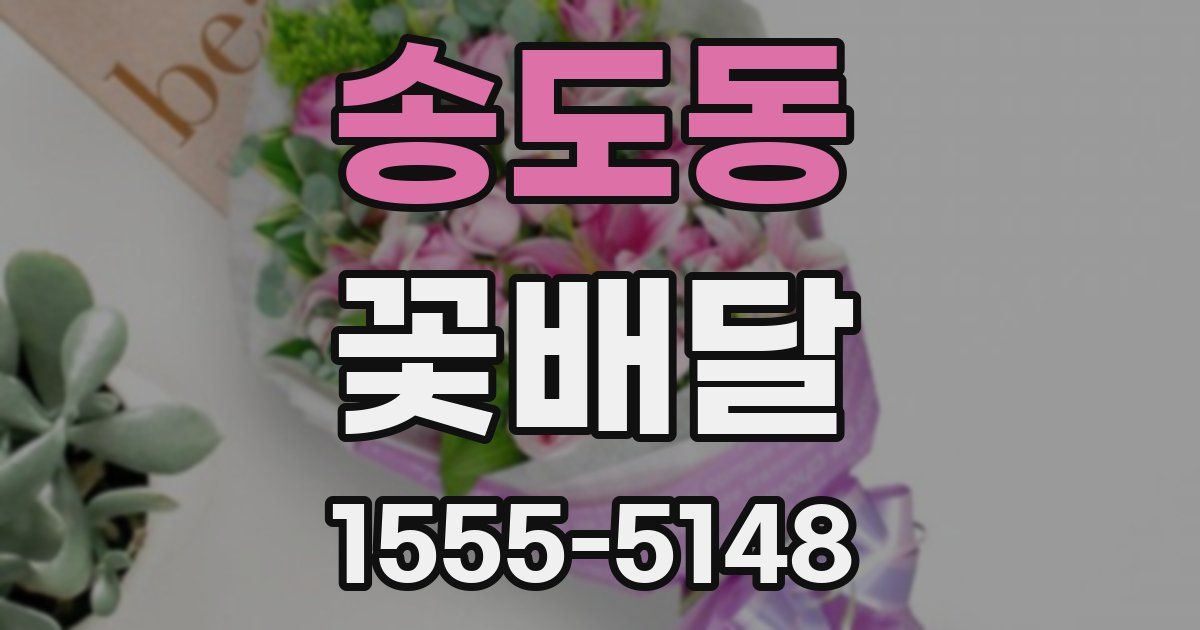 송도동 꽃배달