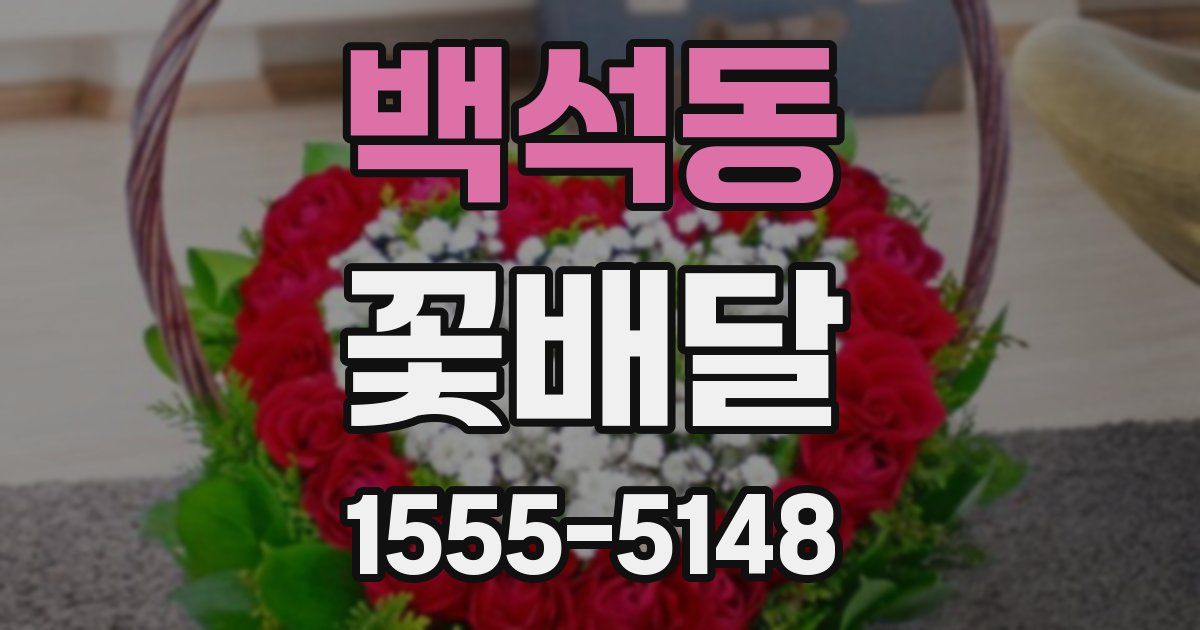 백석동 꽃배달