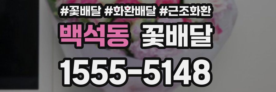 백석동 꽃배달